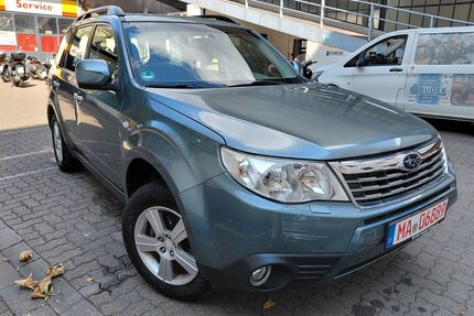 Subaru Forester Gebrauchtwagen