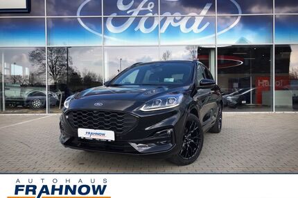 Ford Kuga Gebrauchtwagen