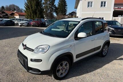 Fiat Panda Gebrauchtwagen