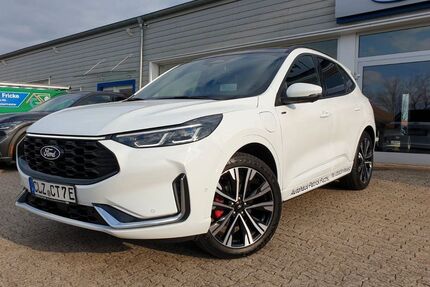 Ford Kuga Gebrauchtwagen