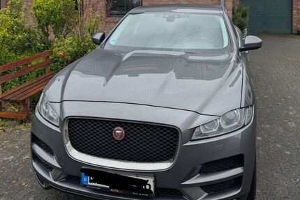Jaguar F-Pace Gebrauchtwagen