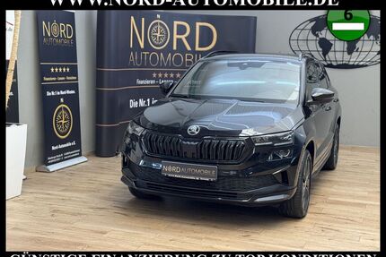 Skoda Karoq Gebrauchtwagen