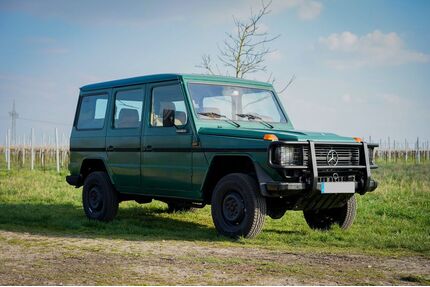Mercedes-Benz G 300 Gebrauchtwagen