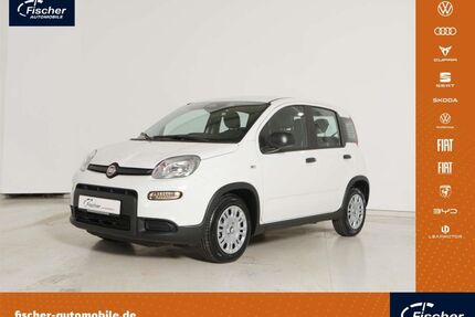 Fiat Panda Gebrauchtwagen
