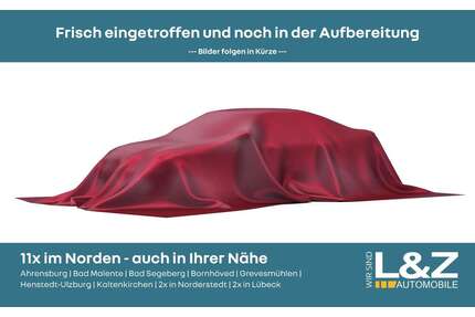 Nissan Leaf Gebrauchtwagen