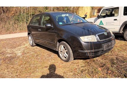 Skoda Fabia Gebrauchtwagen