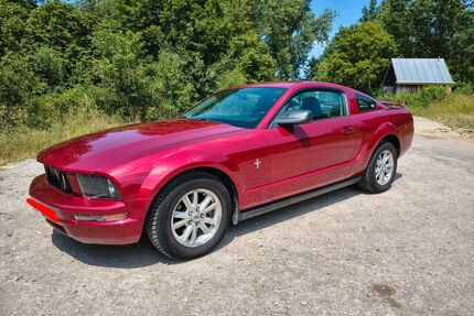 Ford Mustang Gebrauchtwagen