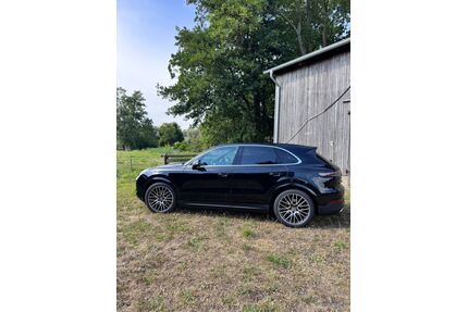 Porsche Cayenne Gebrauchtwagen