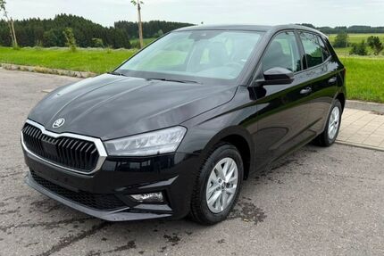Skoda Fabia Gebrauchtwagen