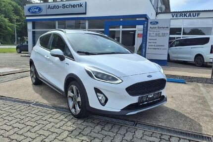 Ford Fiesta Gebrauchtwagen