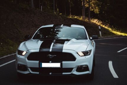 Ford Mustang Gebrauchtwagen