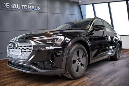 Audi Q8 e-tron Gebrauchtwagen