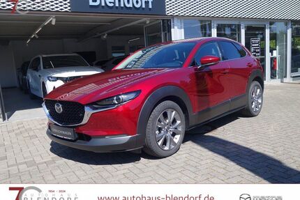 Mazda CX-30 Gebrauchtwagen