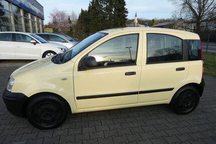 Fiat Panda Gebrauchtwagen