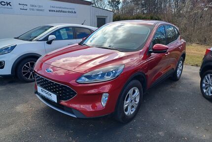 Ford Kuga Gebrauchtwagen