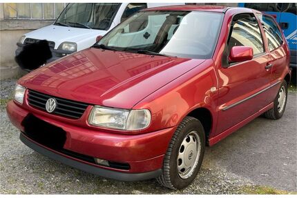 VW Polo Gebrauchtwagen