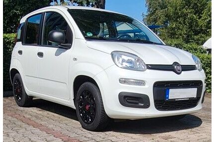 Fiat Panda Gebrauchtwagen