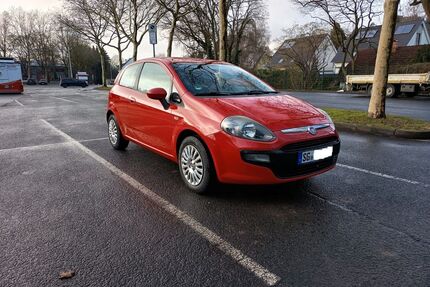 Fiat Punto Gebrauchtwagen