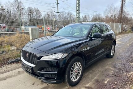 Jaguar F-Pace Gebrauchtwagen