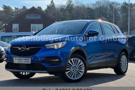 Opel Grandland (X) Gebrauchtwagen