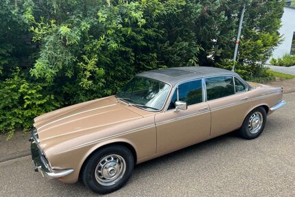 Jaguar Daimler Gebrauchtwagen