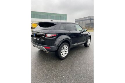 Land Rover Range Rover Evoque Gebrauchtwagen