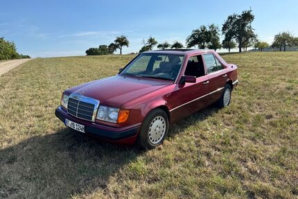 Mercedes-Benz 250 Gebrauchtwagen