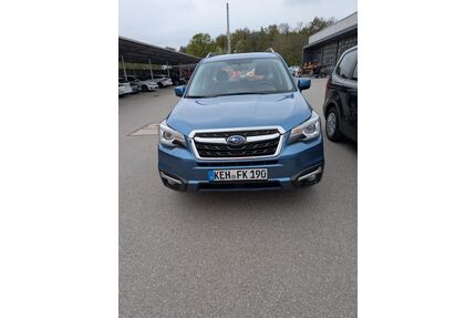 Subaru Forester Gebrauchtwagen