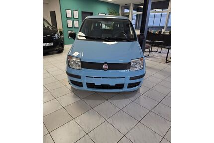 Fiat Panda Gebrauchtwagen