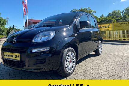 Fiat Panda Gebrauchtwagen