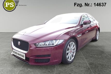 Jaguar XE Gebrauchtwagen