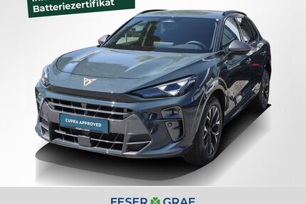 Cupra Terramar Gebrauchtwagen