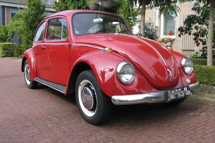 VW Käfer Gebrauchtwagen