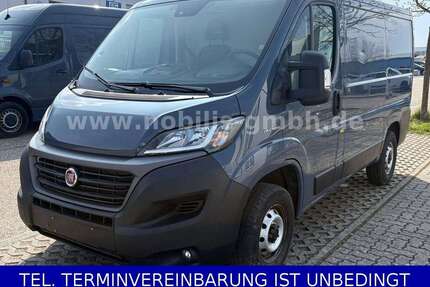 Fiat Ducato Gebrauchtwagen