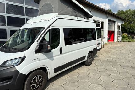 Fiat Ducato Gebrauchtwagen