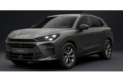 Cupra Terramar Gebrauchtwagen