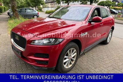 Jaguar F-Pace Gebrauchtwagen