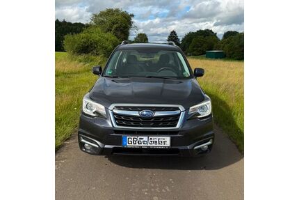 Subaru Forester Gebrauchtwagen