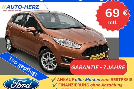 Ford Fiesta Gebrauchtwagen