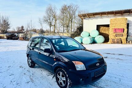 Ford Fusion Gebrauchtwagen