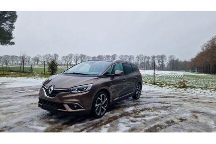 Renault Scenic Gebrauchtwagen