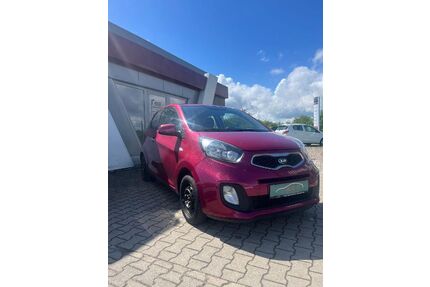 Kia Picanto Gebrauchtwagen