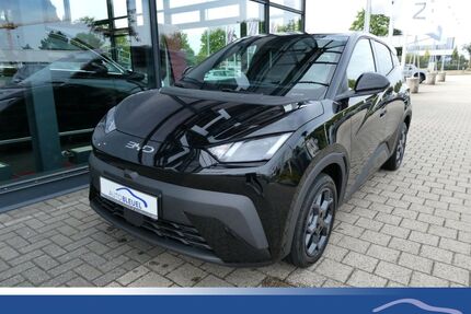 BYD DOLPHIN Gebrauchtwagen