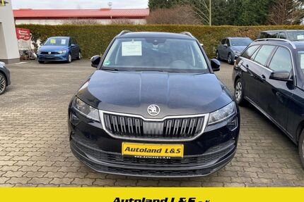 Skoda Karoq Gebrauchtwagen