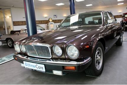 Jaguar XJ6 Gebrauchtwagen