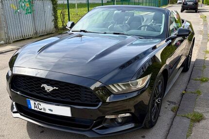 Ford Mustang Gebrauchtwagen