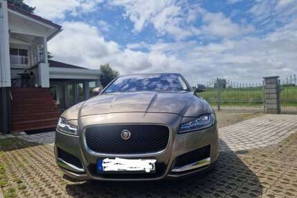 Jaguar XF Gebrauchtwagen