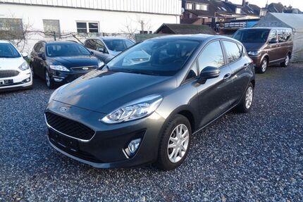 Ford Fiesta Gebrauchtwagen