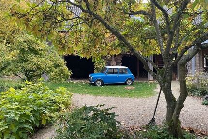 Mini 1000 Gebrauchtwagen