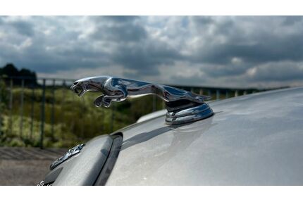 Jaguar S-Type Gebrauchtwagen